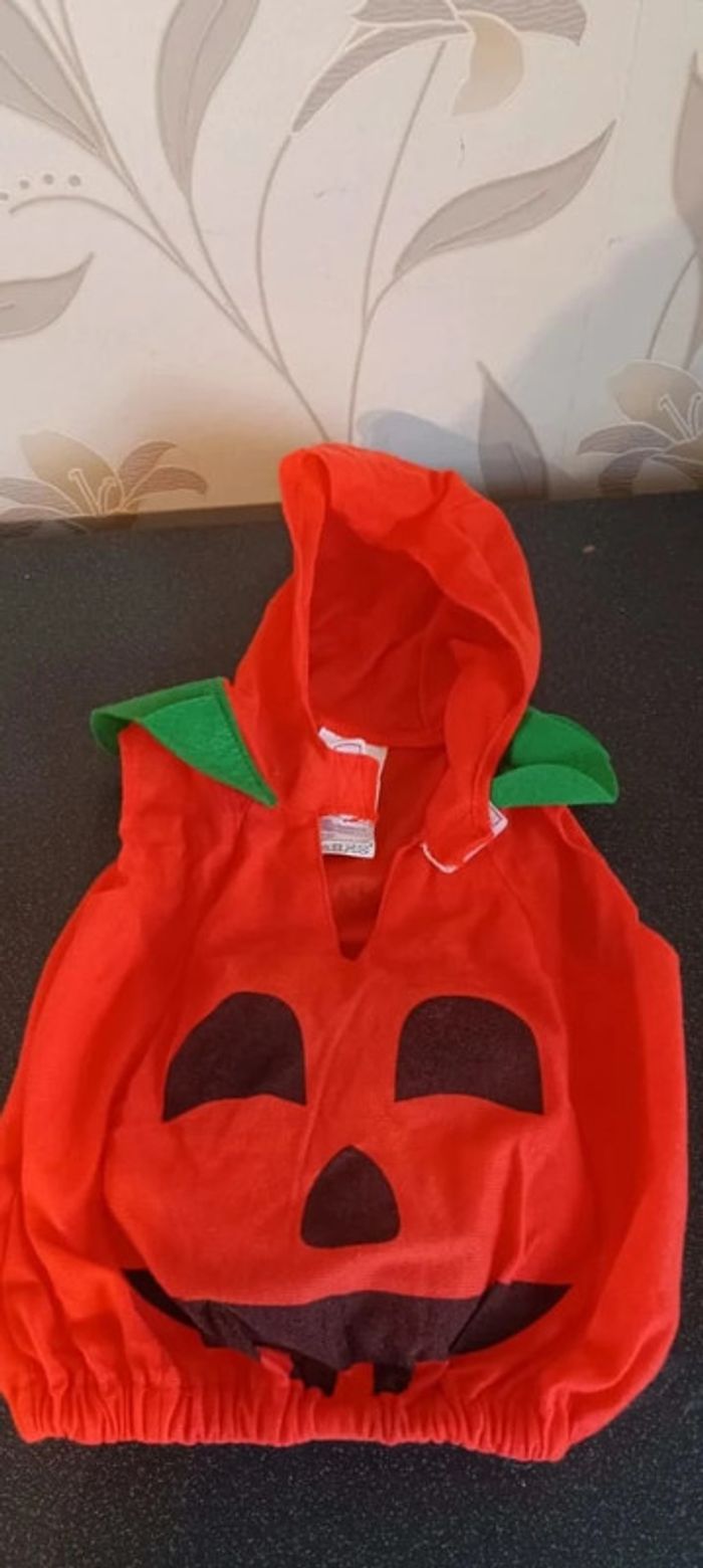 Costume citrouille - photo numéro 3