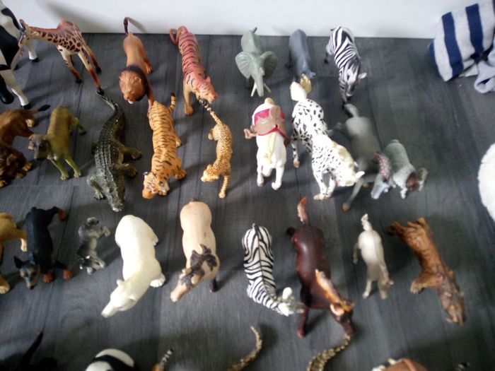 Lot animaux - photo numéro 5