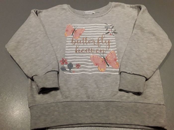 Sweat papillons