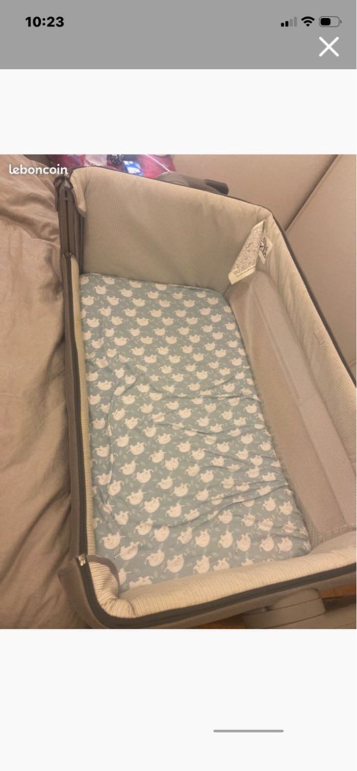 Cododo Chicco - photo numéro 5