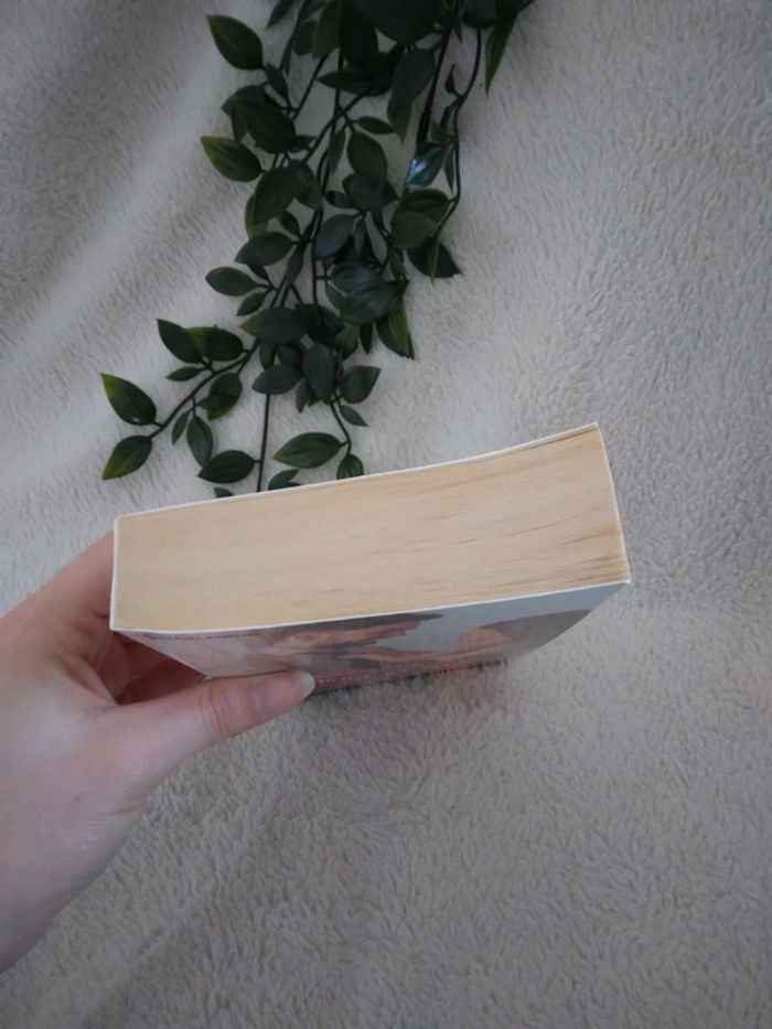 🌸Livre romance prince et papa🌸 - photo numéro 2
