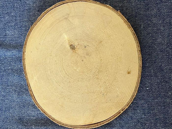 Lot de décoration centre de table thème forêt automne - photo numéro 8