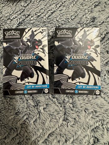 Lot de bundle foudre noire EV10.5