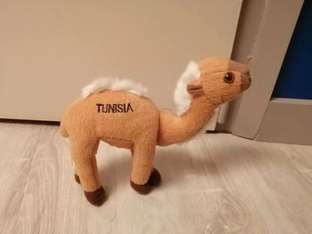 Peluche dromadaire tunisie