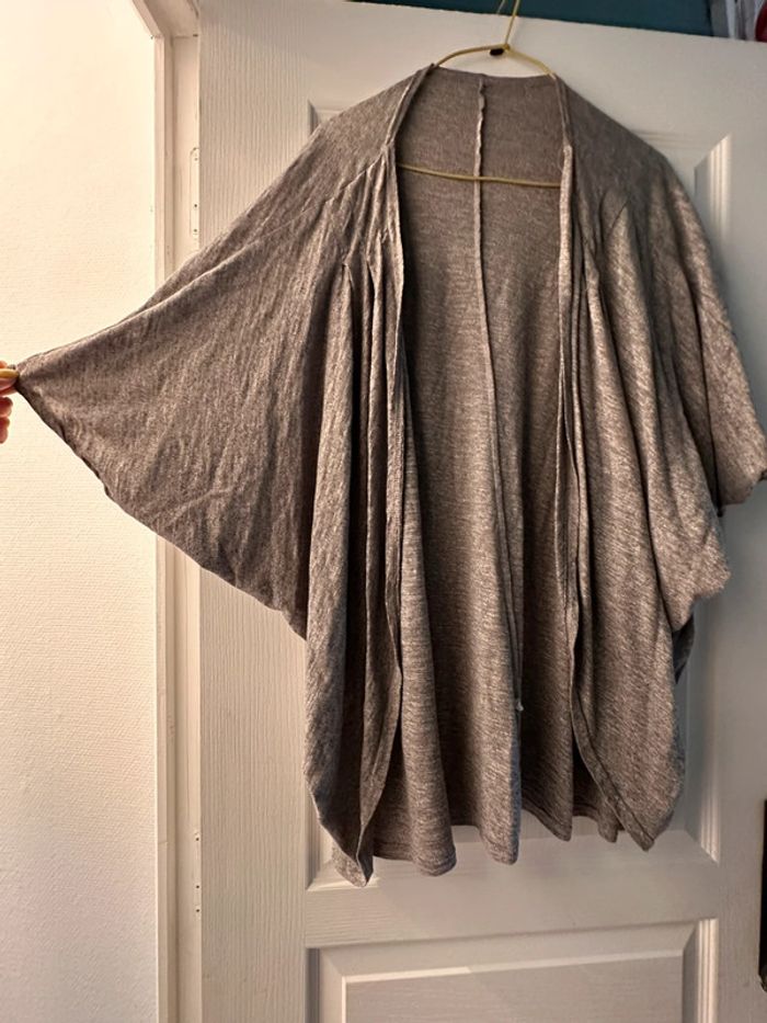 Veste chauve-souris - photo numéro 2