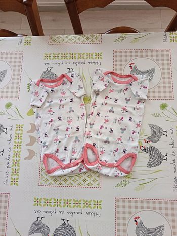 Lot de 2 bodies MC taille 9 mois