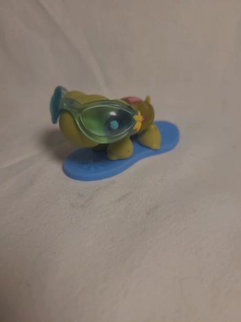 tortue petshop avec son surf