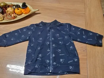 Lot de 3 gilets zippés 18 mois