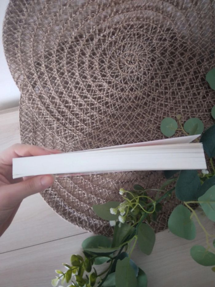 🌸Livre romance et comédie mon beau frère mon mec et moi 🌸 - photo numéro 3