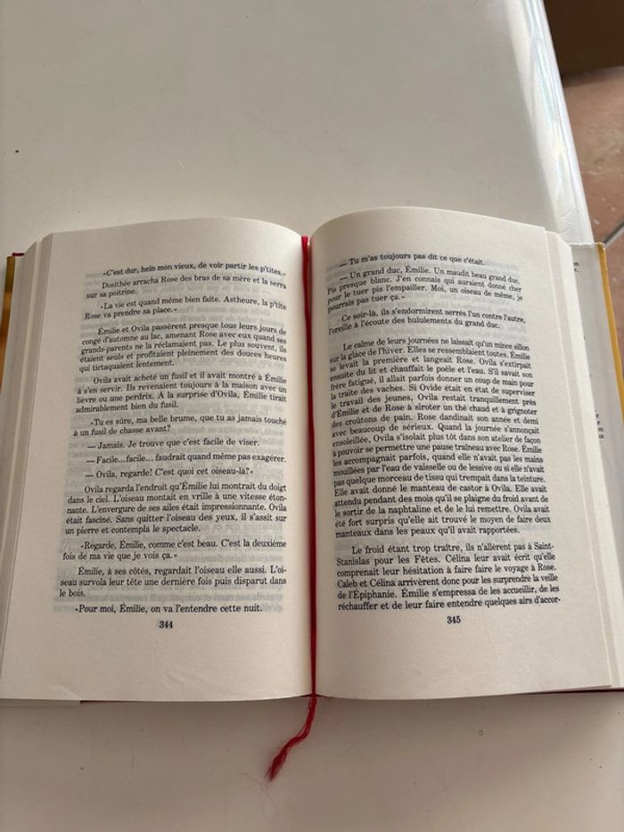 Livre Émilie les filles de Caleb - photo numéro 4