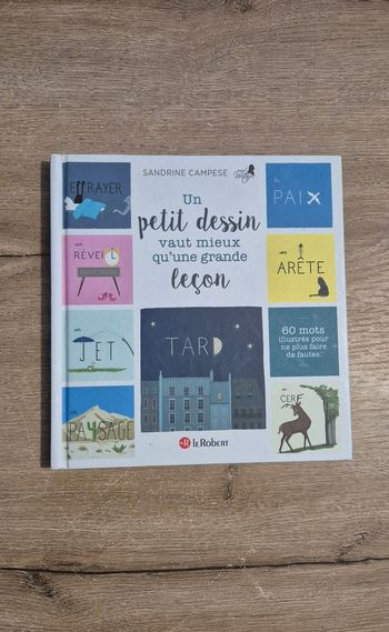 Un petit dessin vaut mieux qu'une grande leçon