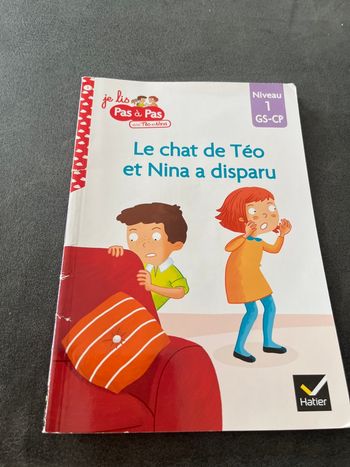 Livre cp le chat de teo et Nina a disparu