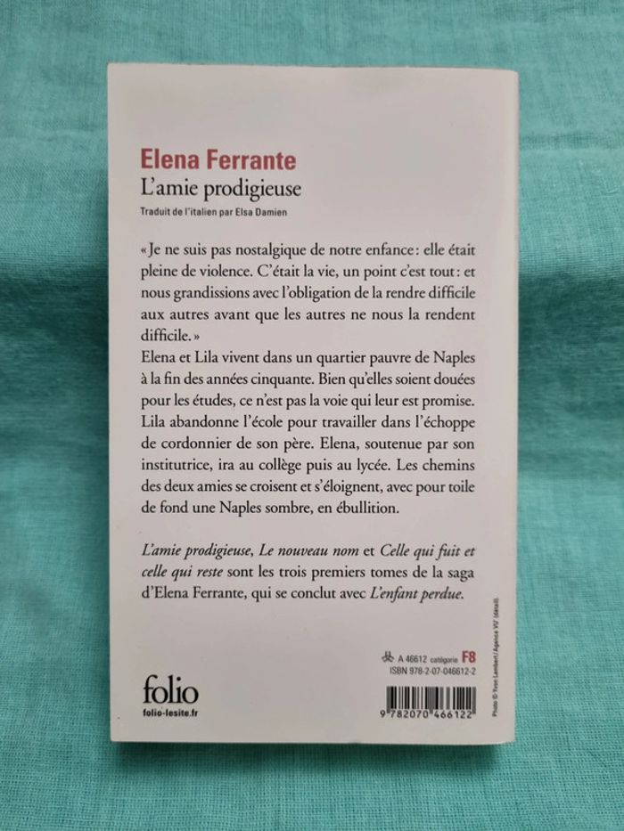 L'ami prodigieuse tome 1 - photo numéro 2
