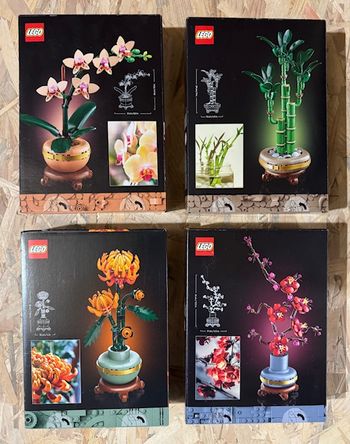 Pack LEGO Botanicals - 10343 / 10344 / 10368 / 10369 - Neufs et scellés