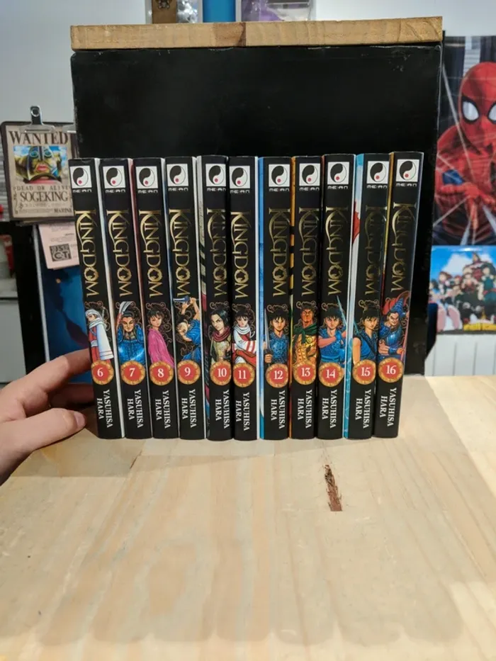 Lot Kingdom – Tomes 6 à 16 (11 tomes) - photo numéro 2