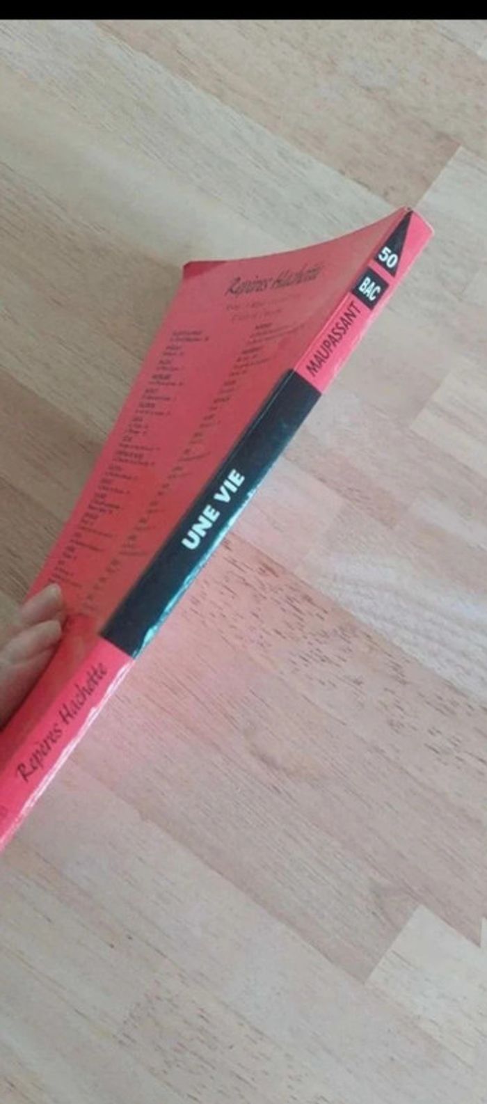 Une vie - Guy de Maupassant pour le BAC - photo numéro 3