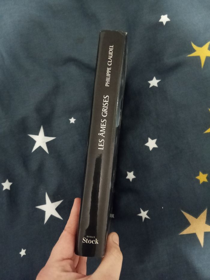 Livre (147) 📚 Les âmes grises - photo numéro 3