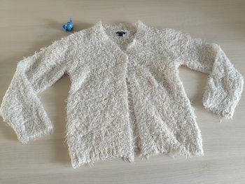 gilet