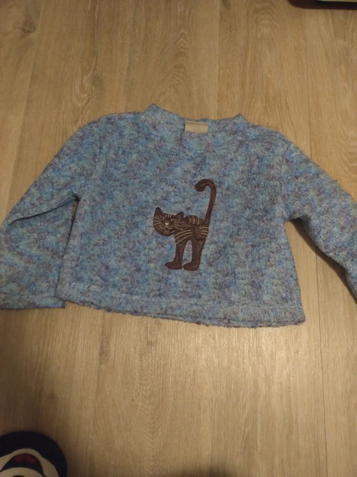 Pull court chat 🐱