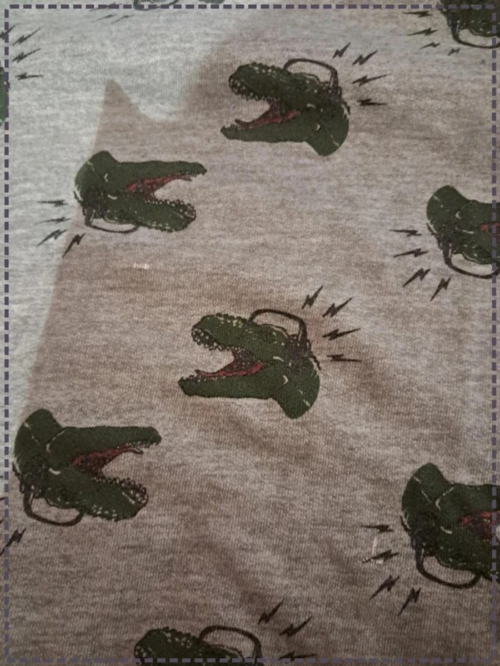 Lot 2 pulls dinosaures 9-10ans TEX - photo numéro 7