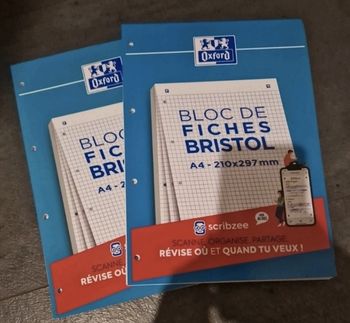 Bloc fiche bristol