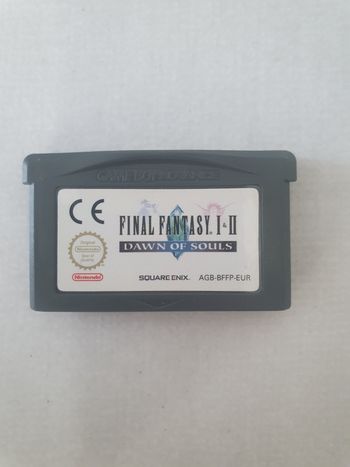 Final fantasy I II dawn of souls