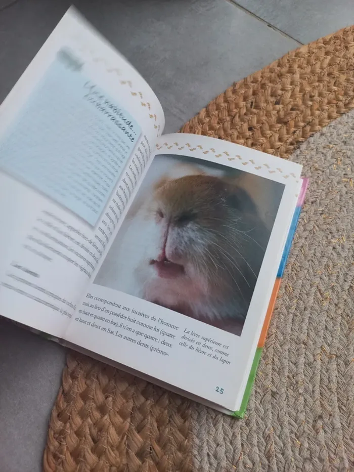 📖 Mon cochon d'Inde - Tenerezza - photo numéro 5