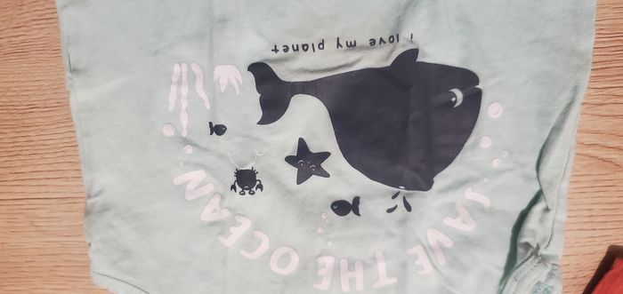 Lot de 12 T-shirts manches courtes 18 mois - photo numéro 8