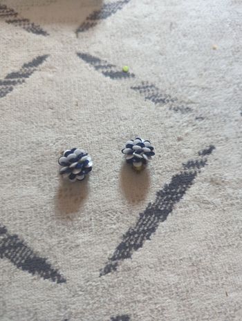 Boucles d'oreille
