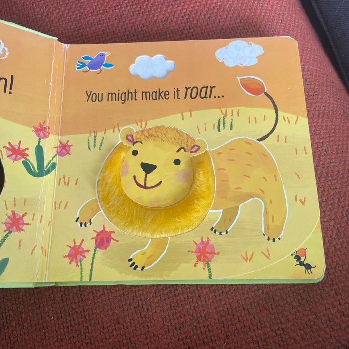 Don’t tickle the lion - photo numéro 2