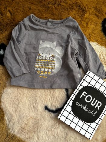 Tee shirt écureuil OBAIBI t.1m