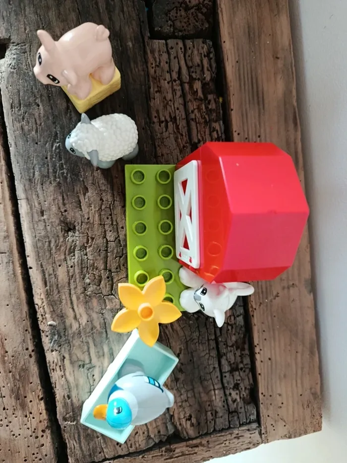 Lego Duplo 10949 - photo numéro 2