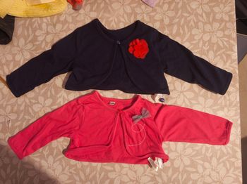 Lot Cardigans courts