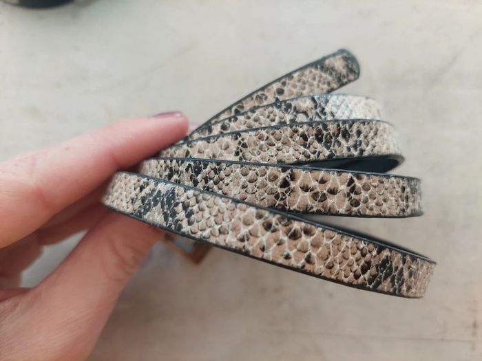 Ceinture - photo numéro 2