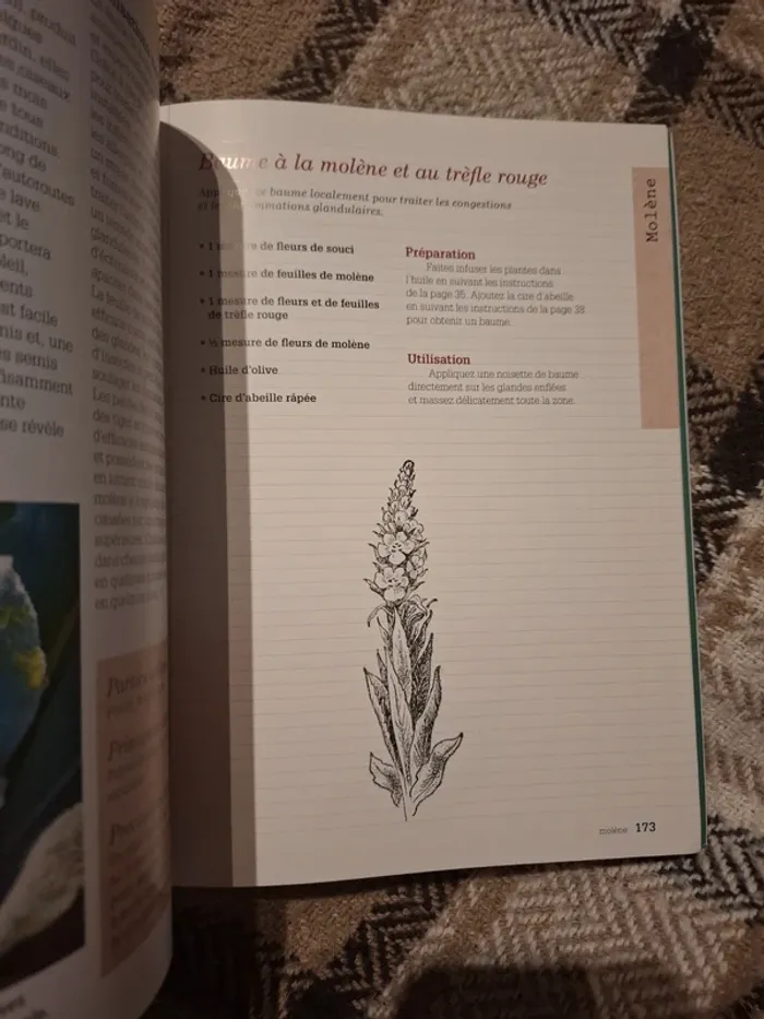 Cultiver et utiliser les plantes médicinales - photo numéro 6