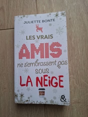Roman Les vrais Amis ne s'embrassent pas sous la neige de Juliette Bonte en très bon état