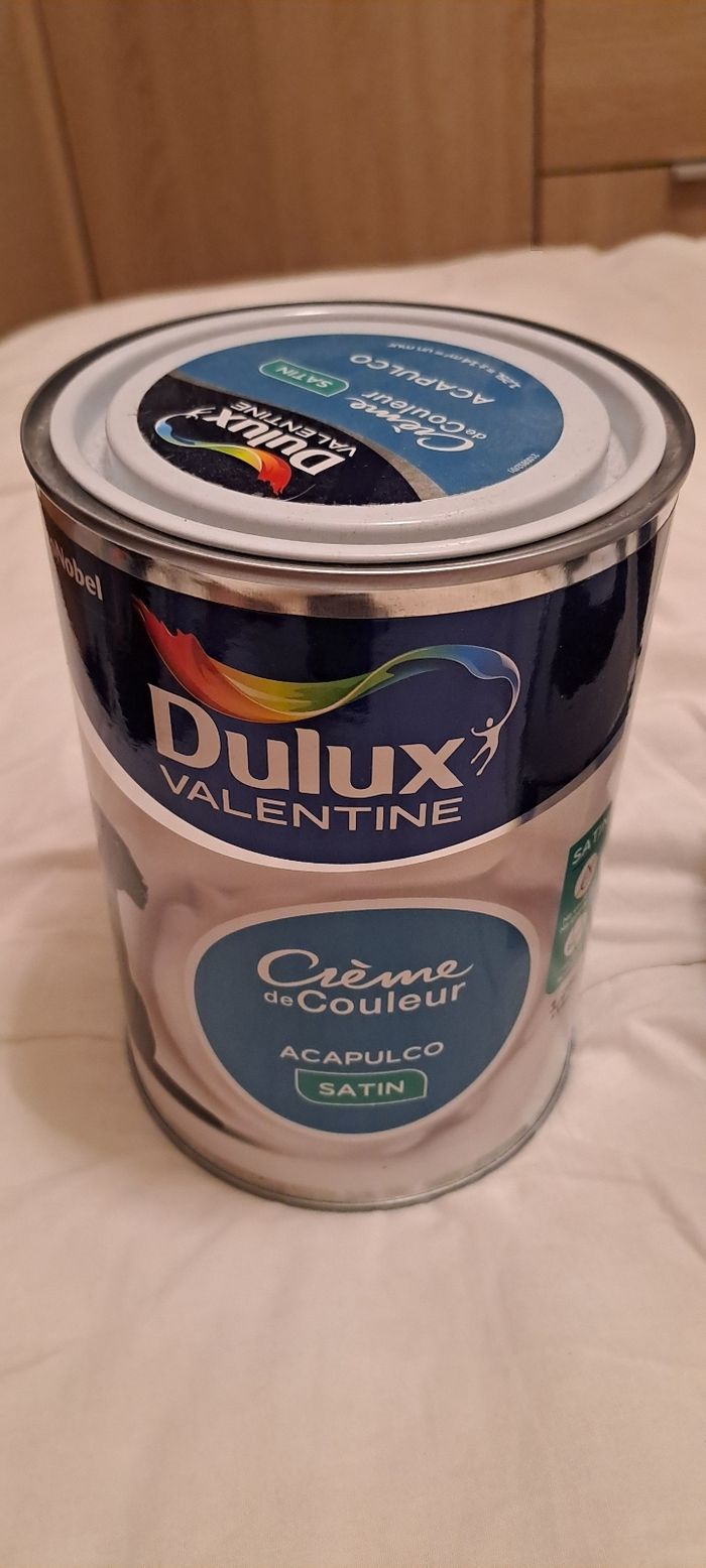 Peinture - photo numéro 3