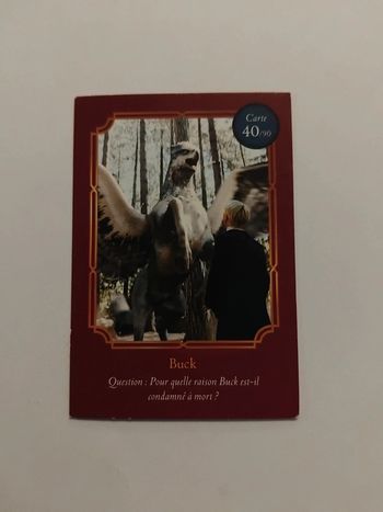 🃏 Carte Harry Potter (Auchan) - Wizarding World - Buck 40/90