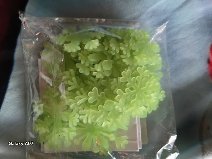 Étoiles de neige phospho - photo numéro 3