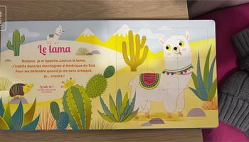 Livre puzzle