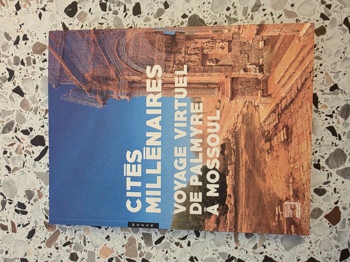 Cités Millénaires - Voyage Virtuel De Palmyre À Mossoul