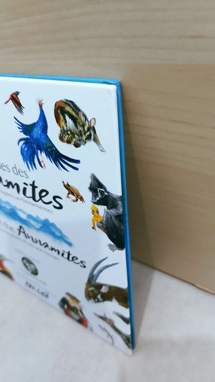 📚 Livre en anglais et français : Merveilles des annamites/ Wonders of the annamites - photo numéro 10