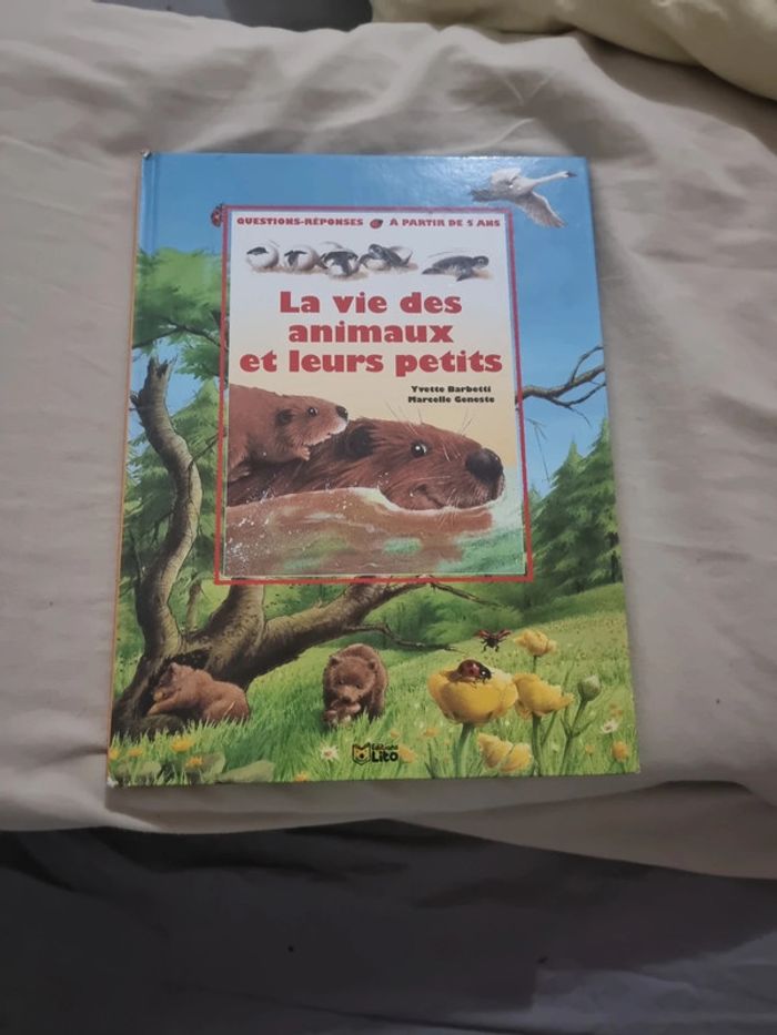 La vie animaux et leurs petits