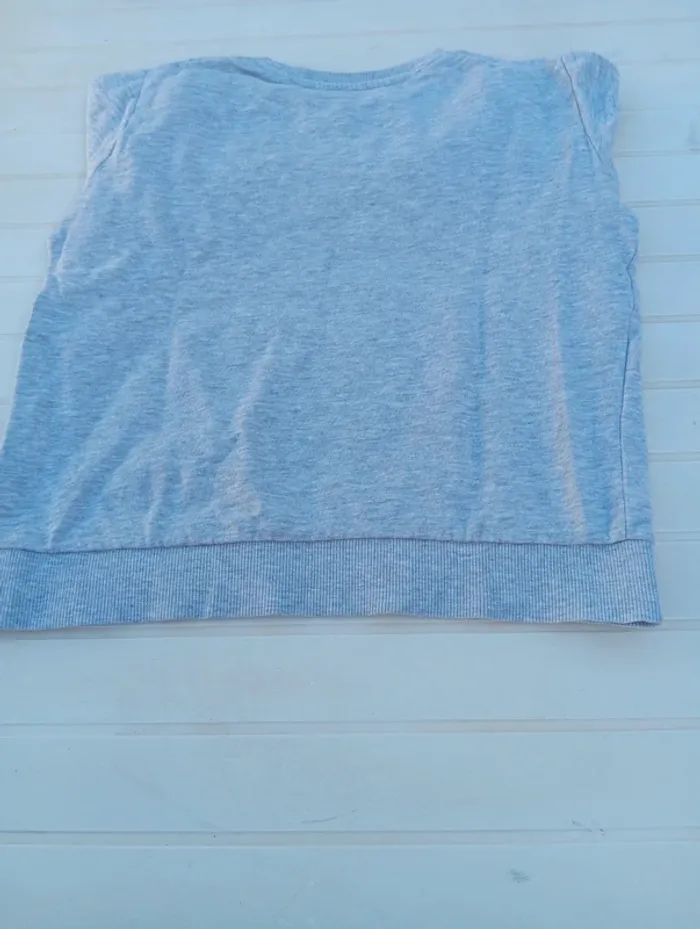 Pull tigre de marque Gémo et de taille 10ans - photo numéro 2