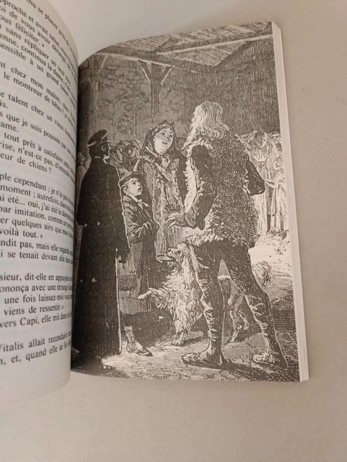 Sans famille première partie Hector malot numéro 612 Folio junior - photo numéro 8