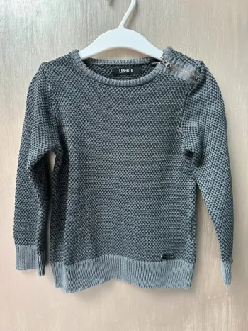 Pull gris Liberto 4 ans