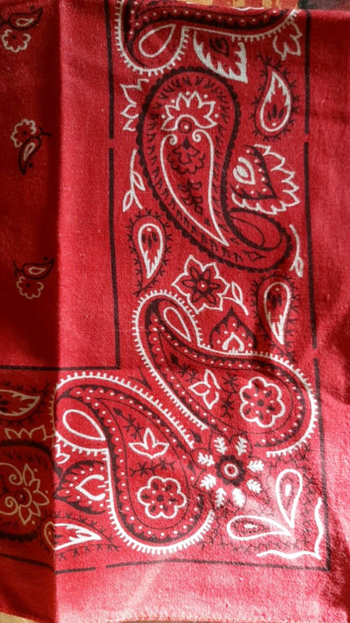 Foulard type bandana - photo numéro 2