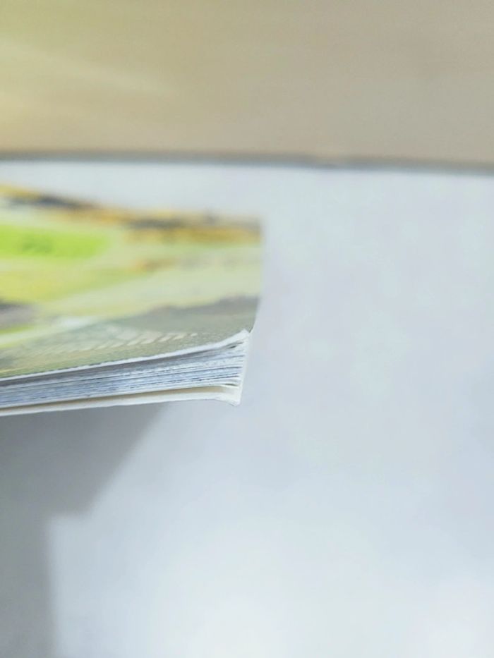 🌺 Livre (école des loisirs) : Ce jour-là - photo numéro 8