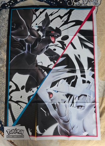 Poster Reshiram & Zekrom