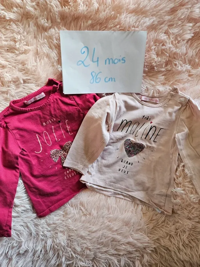 Lot 2 t-shirts bebe